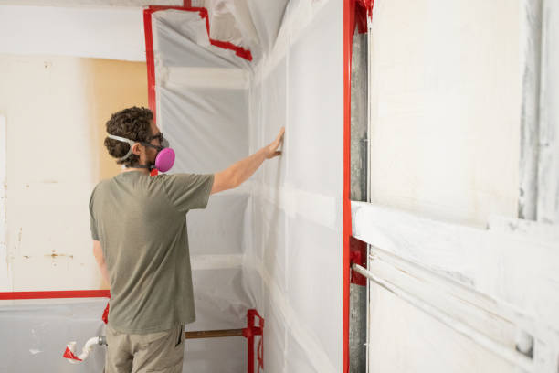 Best Mold Removal for HVAC Installations  in Runnemede, NJ